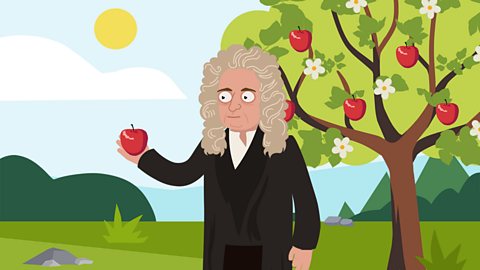 Sir Isaac Newton theorised about gravity after watching an apple fall from a tree