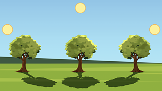 The Sun travels across the sky because of the Earth's rotation.