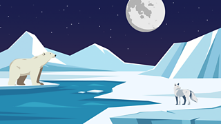 Svalbard goes long period without any daylight