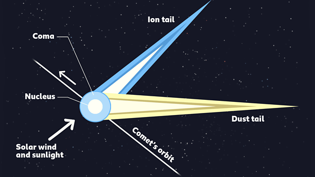 A diagram of the make up of a comet