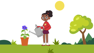 All plants need certain things to live and grow