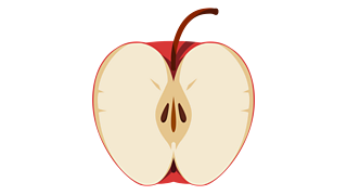Fruit, like apples, produce seeds in order for a new plant to grow