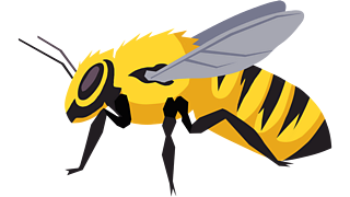 Pollinators, like bees, wasps and butterflies, are a key part of flower reproduction