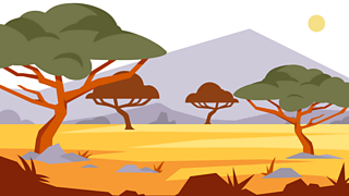 7. Plants give us shade