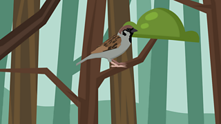 8. Plants provide habitats for wildlife