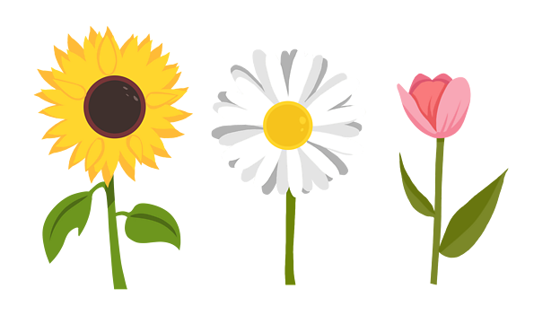 Wildflowers, like the sunflower, daisy and tulip all need pollinators to help them reproduce