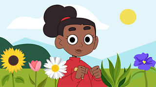 Plants can grow in lots of different habitats