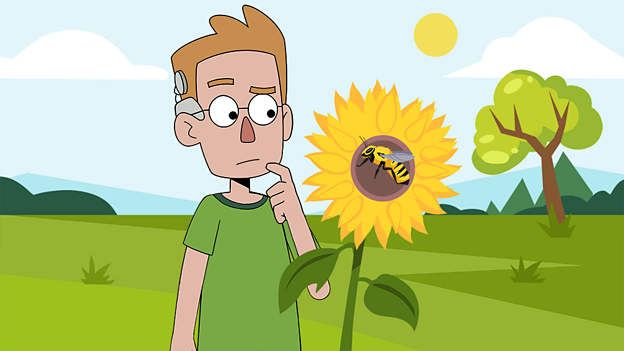 Pollination is an important part of a plant's life cycle