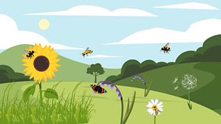 Bees and butterflies are a key part of pollination and the reproduction of flowering plants.