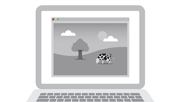 Black and white filter