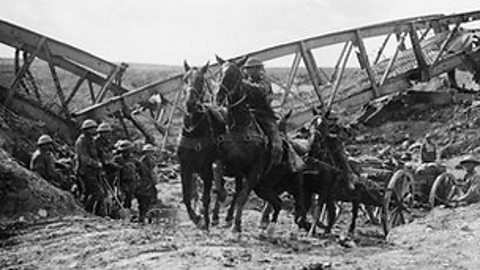 Why were animals useful in World War One?
