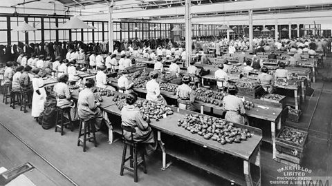 What did women do on the home front in World War One?
