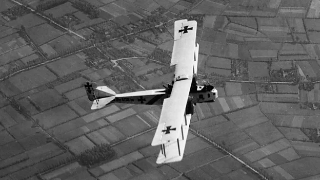 Battles were known as 'dogfights' and top fighter pilots were 'aces'