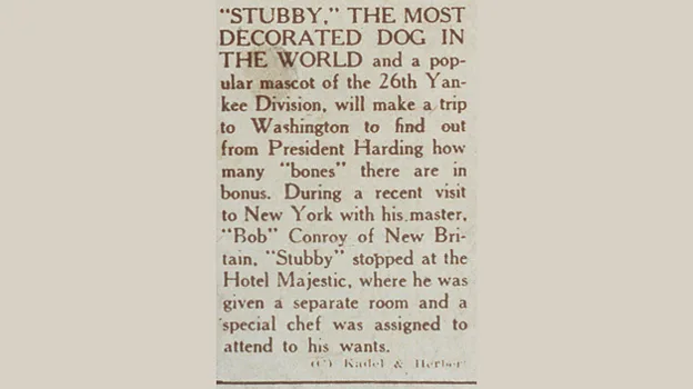 Stubby even made an appearance at the White House