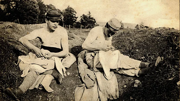 Trench fever was caused by body lice