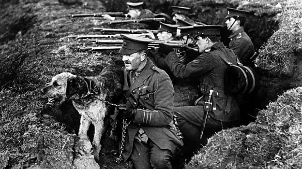Sentry dogs stayed with one soldier and guarded trenches