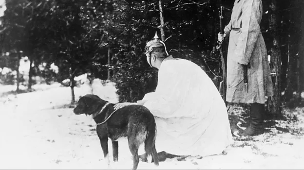 Scout dogs were used to find the enemy