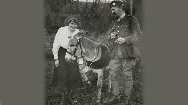 Jimmy 'The Sergeant' was a donkey born at the Battle of the Somme
