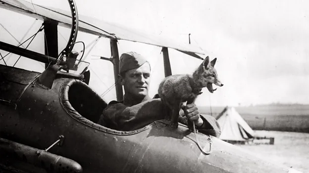 A Royal Air Force Squadron kept a fox as a mascot
