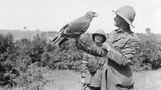A band of soldiers kept a golden eagle as a pet