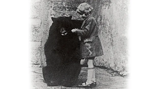 Winnipeg 'Winnie' the bear was a mascot for Canadian soldiers